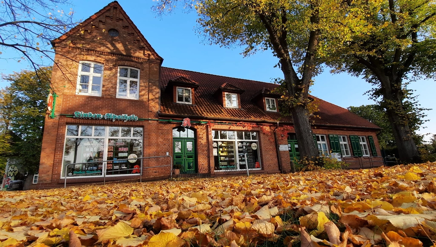 Linden-Apotheke - Pharmazeutische Dienstleistungen & Online-Bestellung - Ein traditionelles Apothekengebäude aus rotem Backstein mit Satteldach in Deutschland, umgeben von großen Bäumen und einem Boden, der mit gelbem Herbstlaub bedeckt ist.
